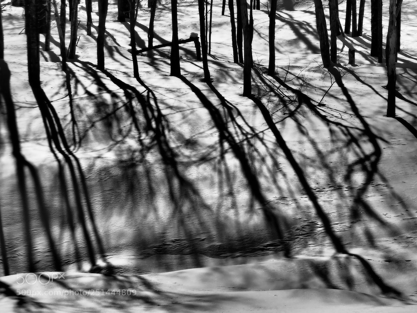 Olympus OM-D E-M5 II sample photo. Untitled photography