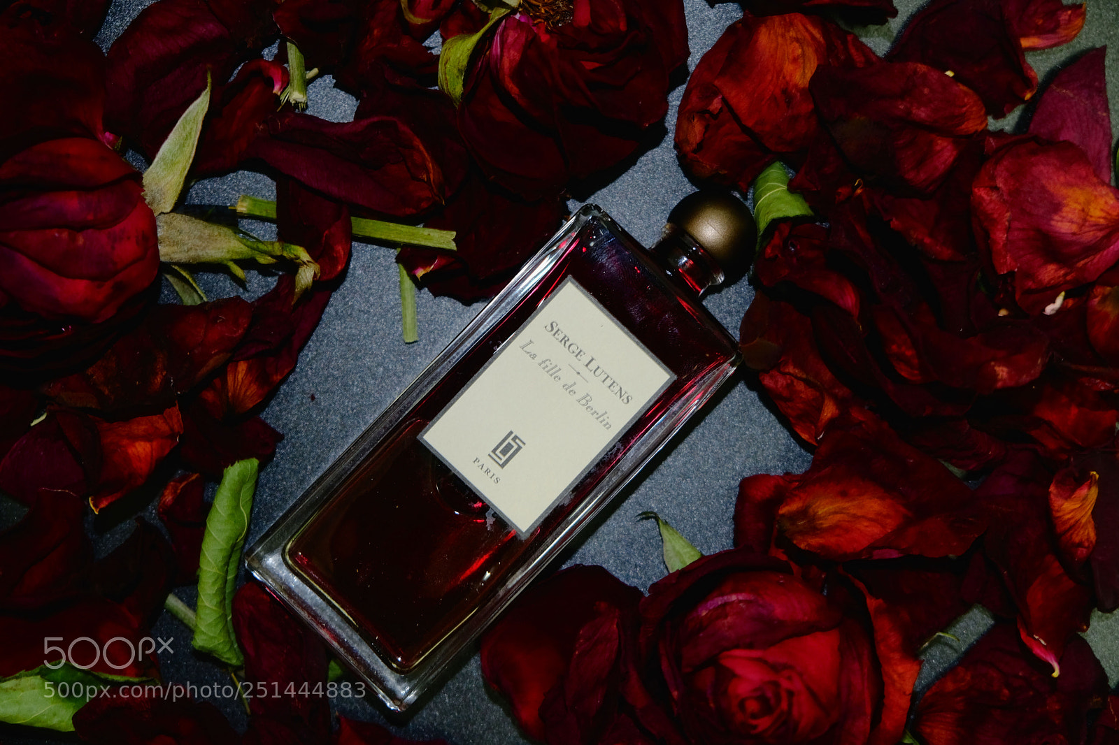Fujifilm X-T20 sample photo. Untitled photography