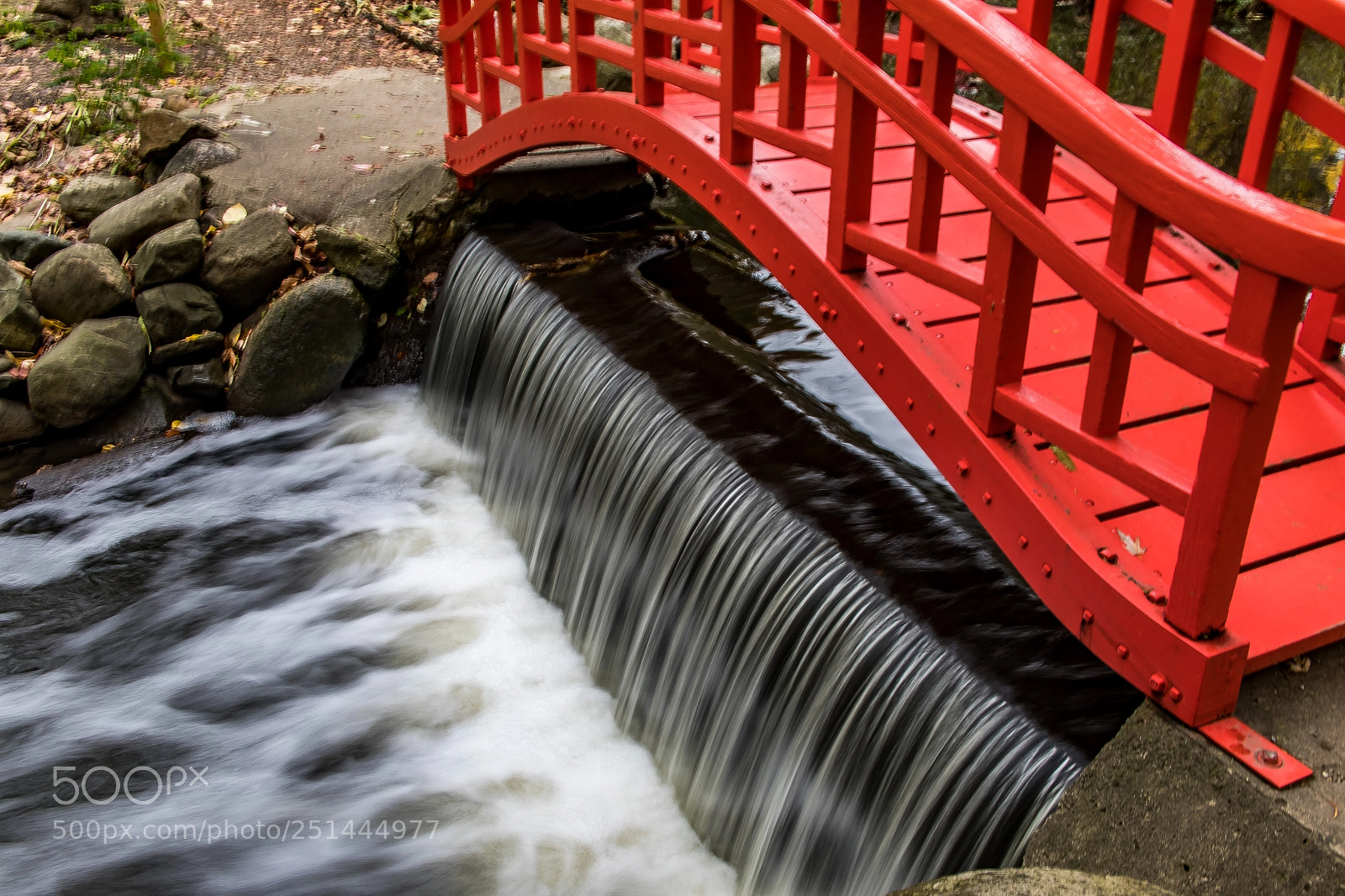 Canon EOS 5D Mark IV sample photo. A closer look at photography