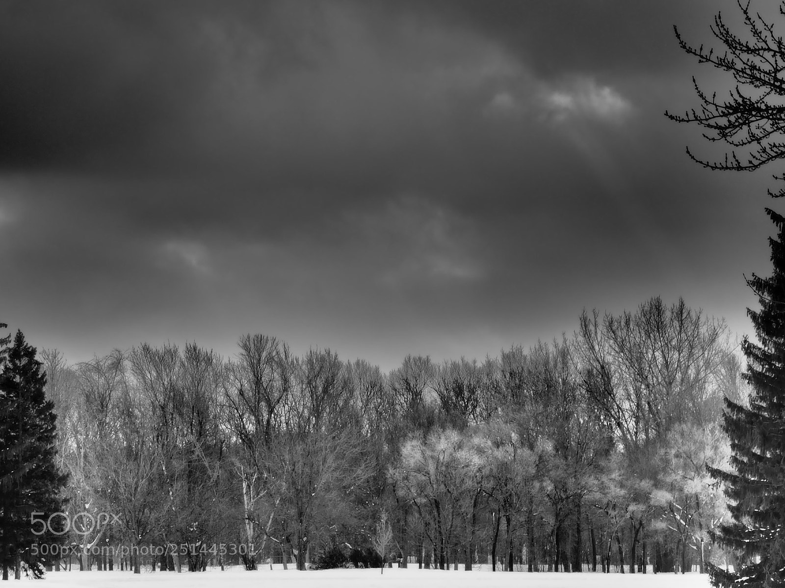 Olympus OM-D E-M5 II sample photo. Untitled photography