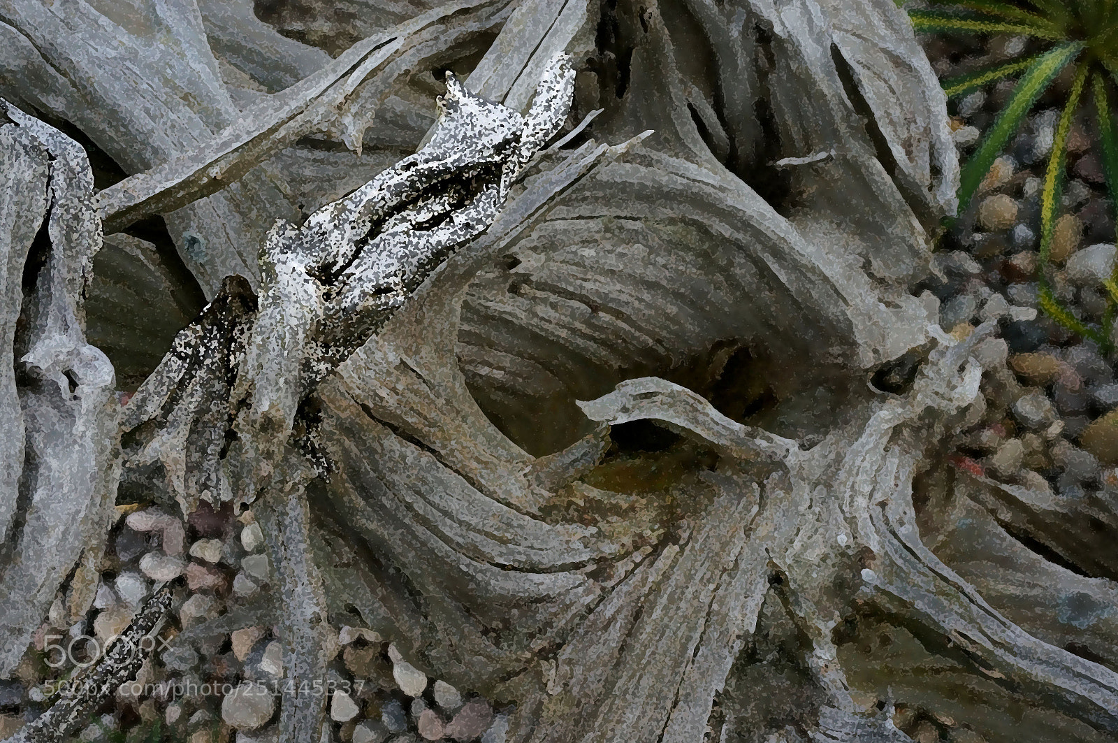Sony Alpha NEX-6 sample photo. Resilient photography