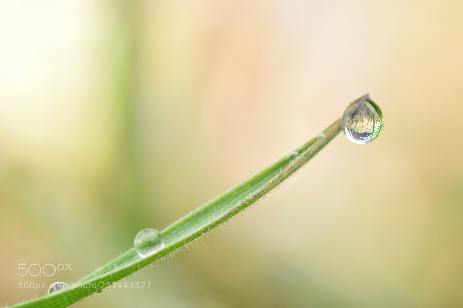 Nikon D3300 sample photo. Rainy days... photography