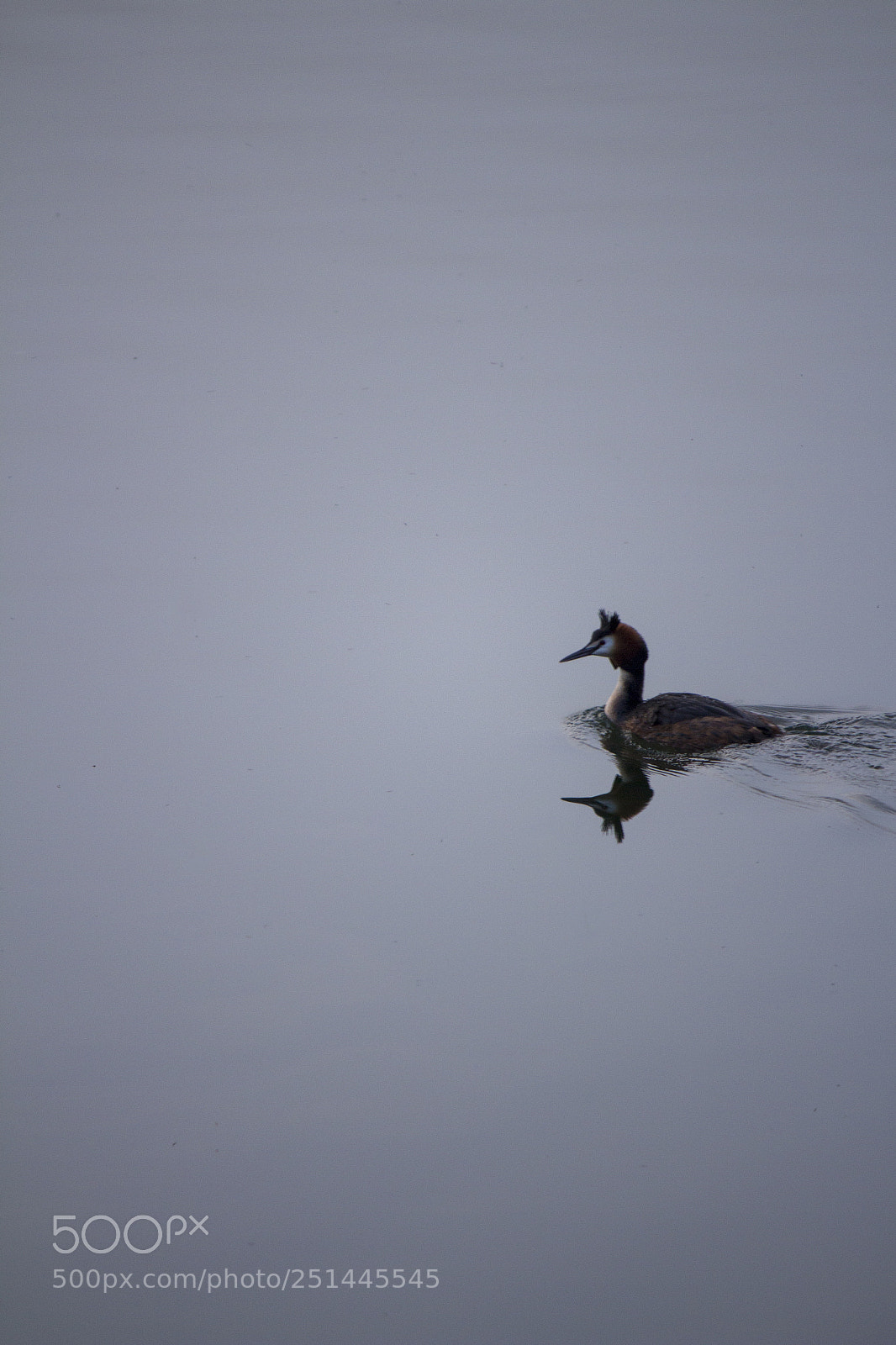 Canon EOS 650D (EOS Rebel T4i / EOS Kiss X6i) sample photo. Under the water or photography