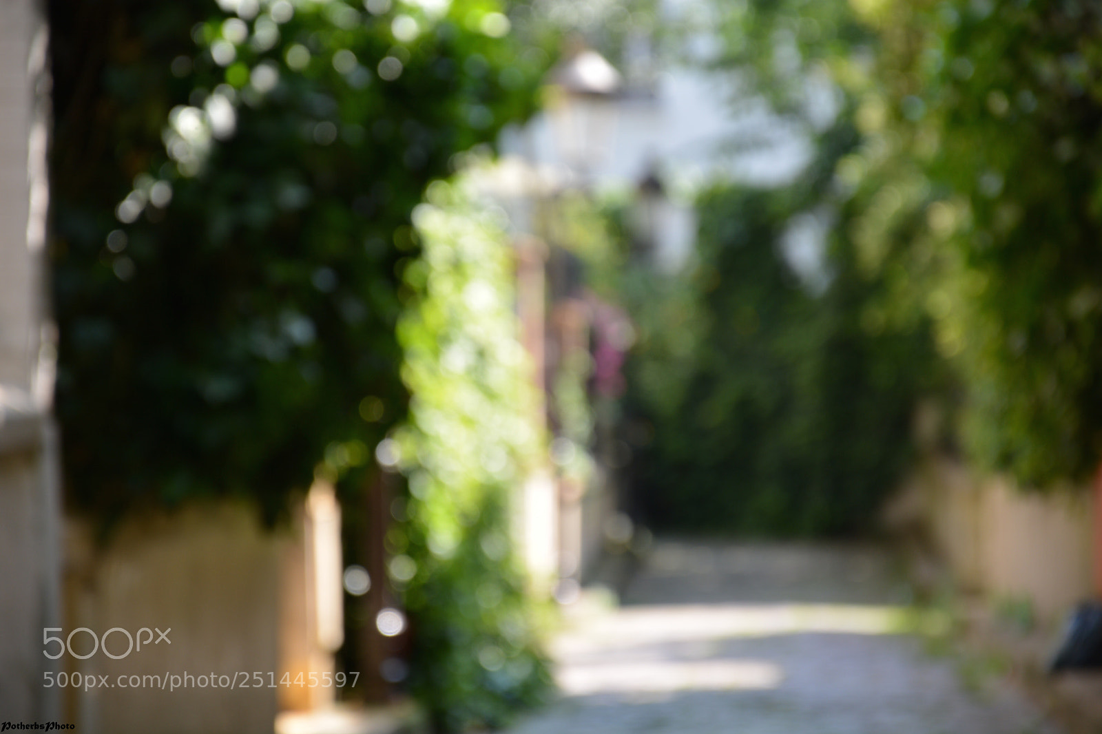 Nikon D5200 sample photo. Untitled photography