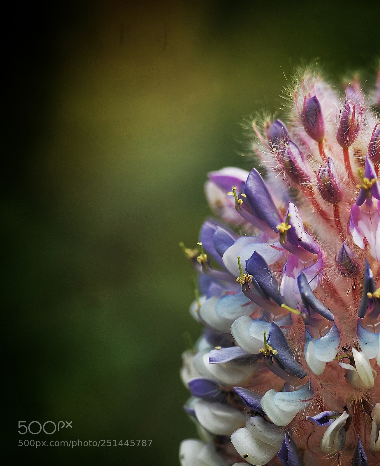 Nikon D300 sample photo. Untitled photography