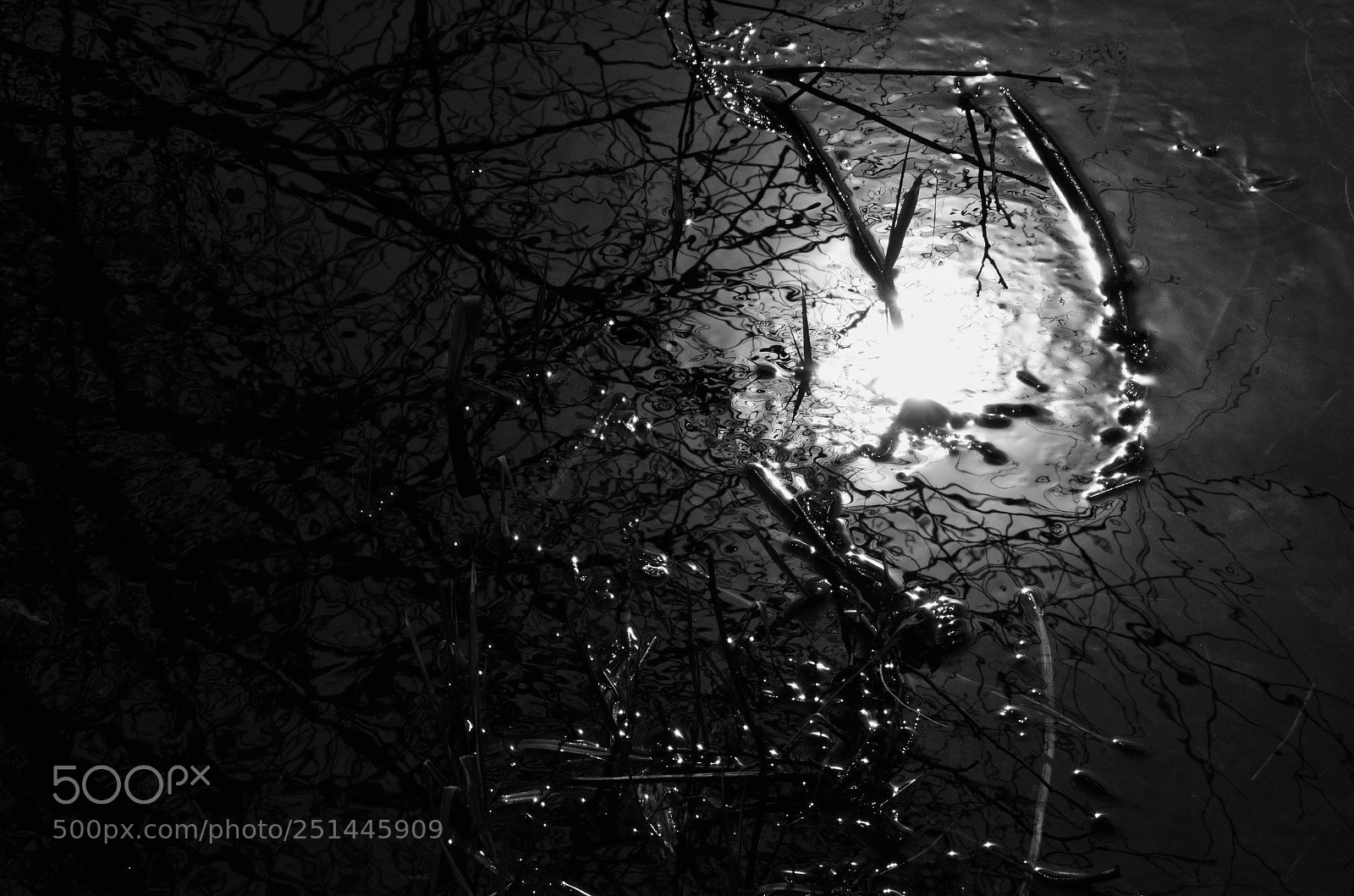 Nikon D5100 sample photo. Darkness
 photography