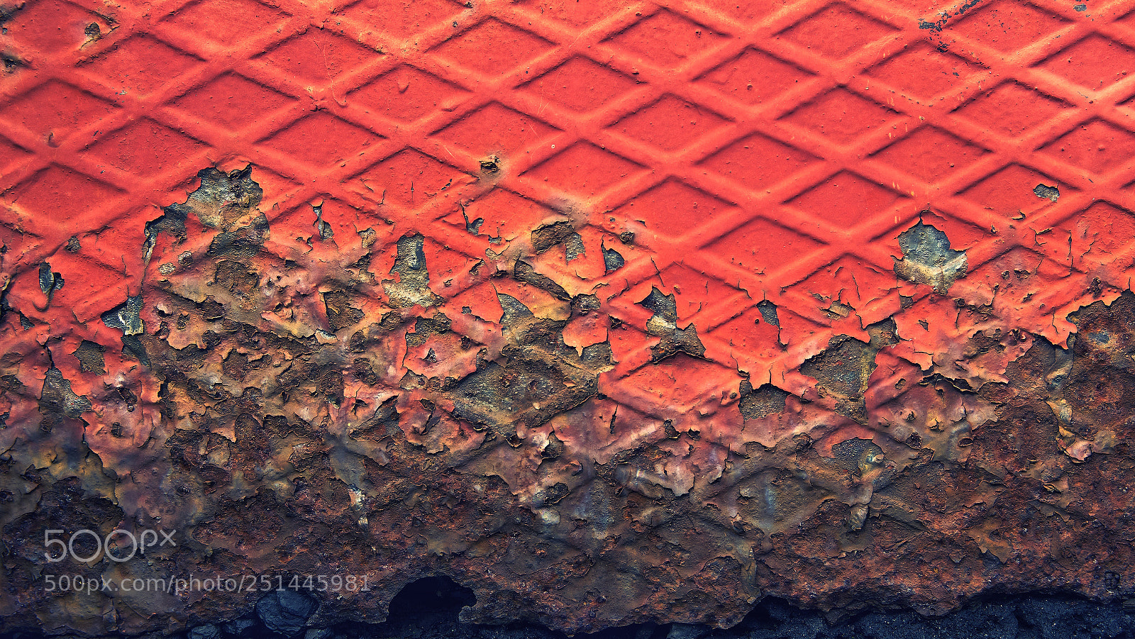 Sony ILCA-77M2 sample photo. Decay in red photography