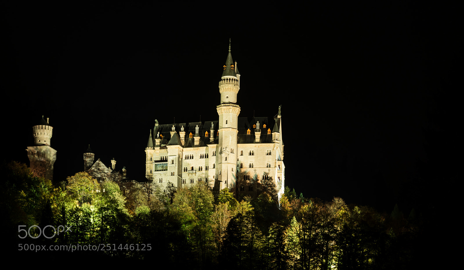 Nikon D810 sample photo. Neuschwanstein castle photography