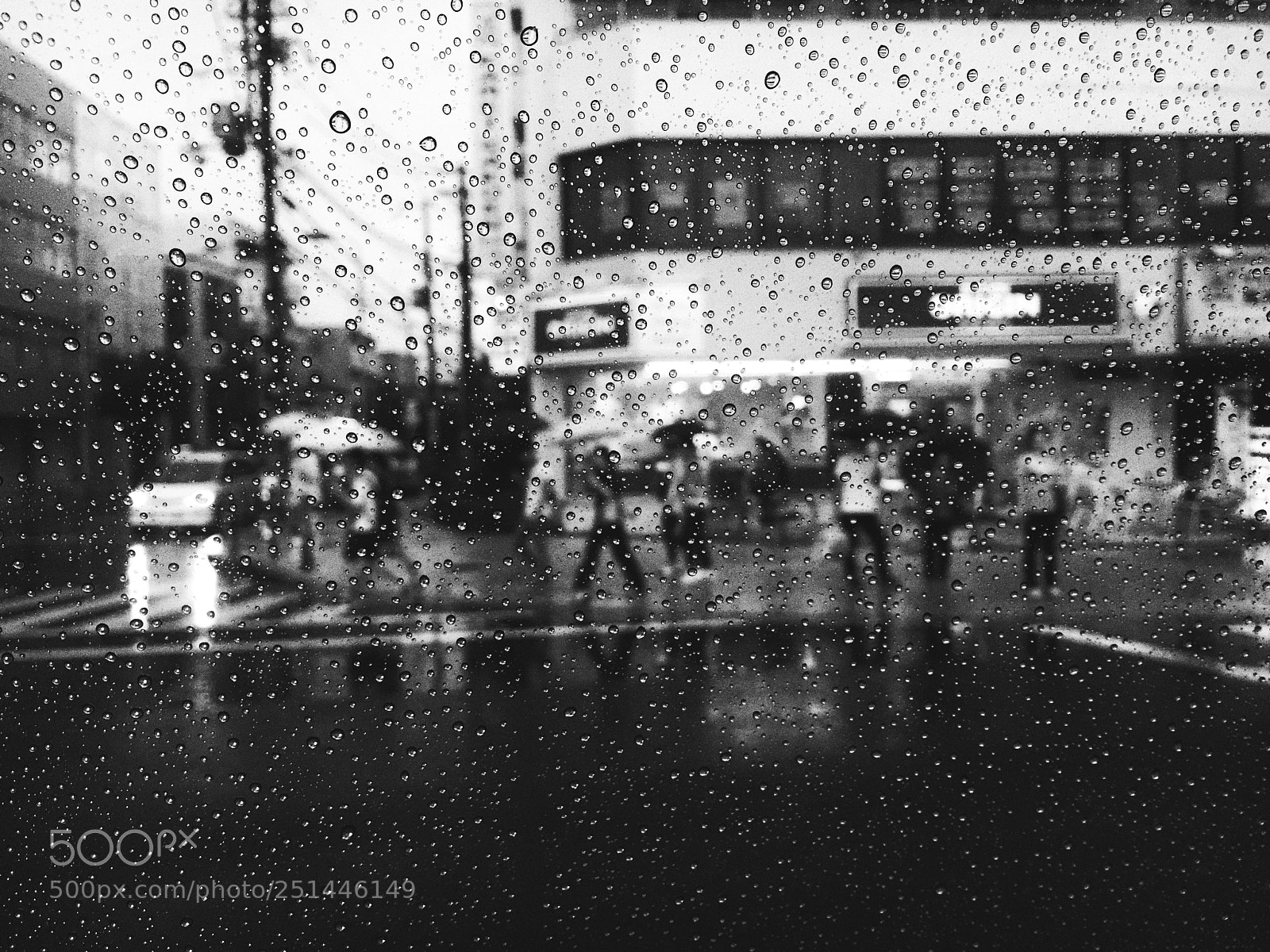 Apple iPhone 6s sample photo. ( rainy day ) photography