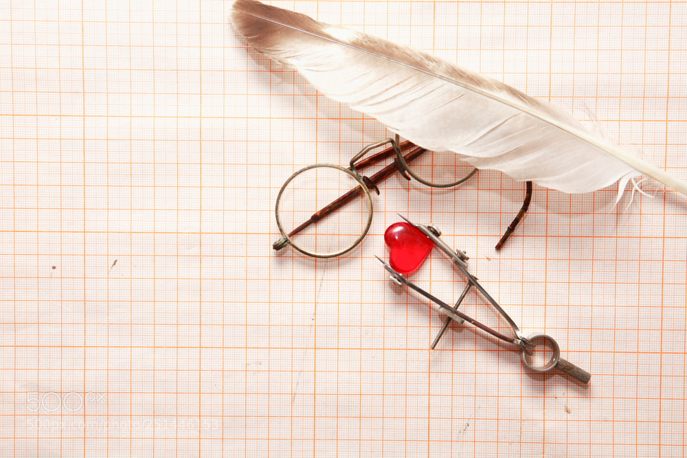 Canon EOS 5D sample photo. Heart photography