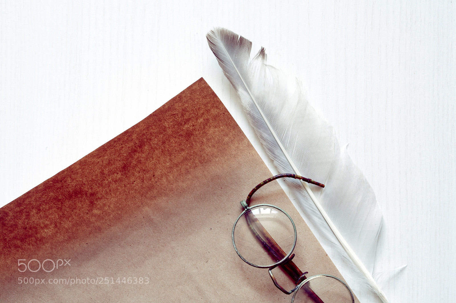 Canon EOS 5D sample photo. Feather near paper photography
