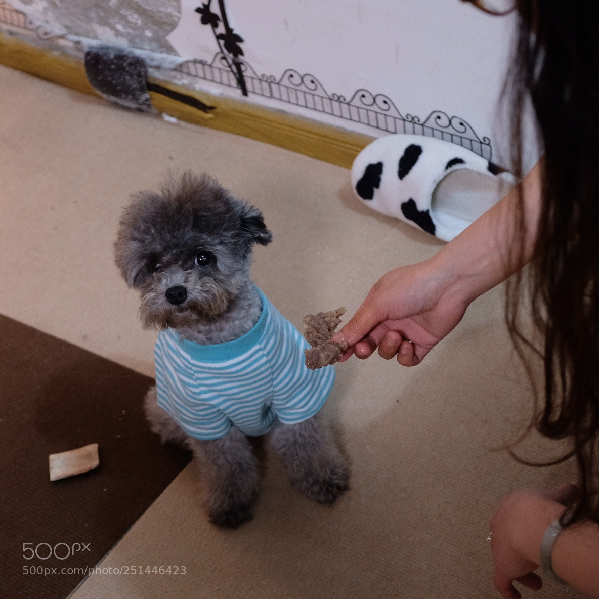 Fujifilm X-E3 sample photo. I don't want that photography