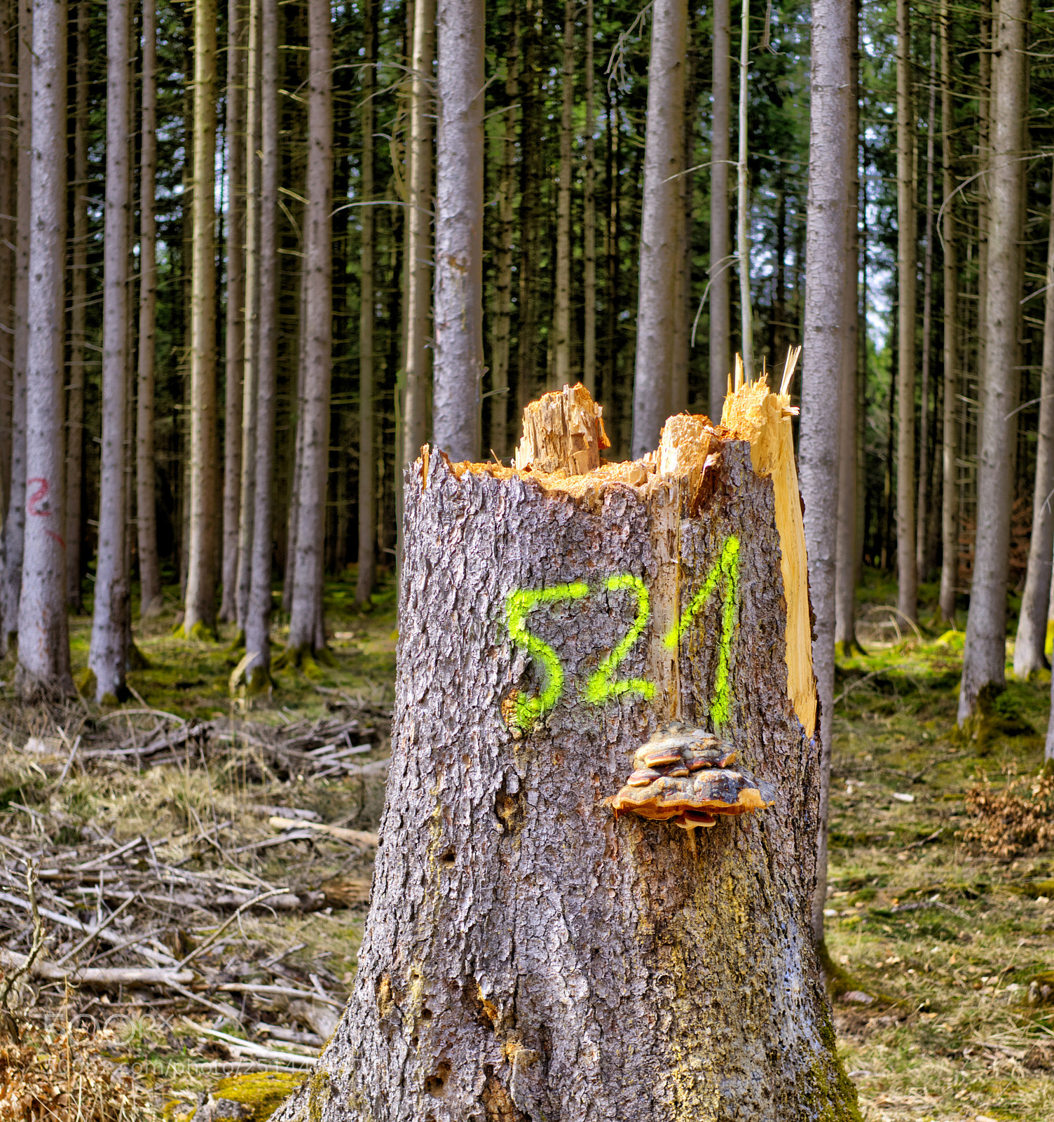 Sony a6000 sample photo. Wat den eenen sin photography