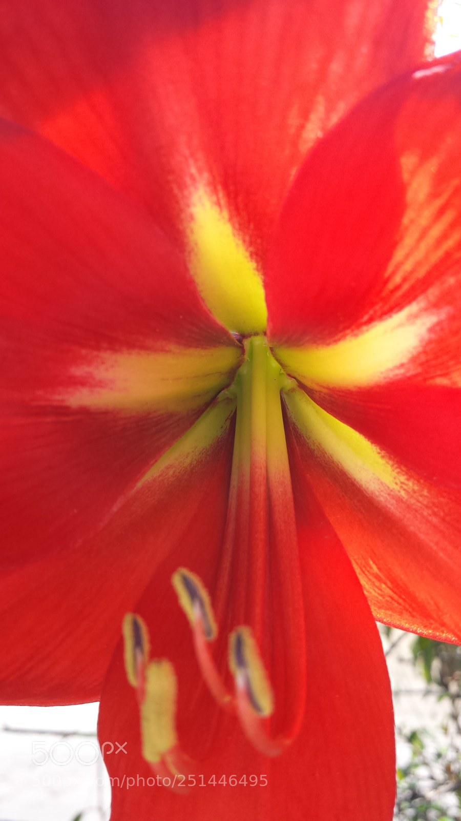 Samsung Galaxy S4 sample photo. Untitled photography