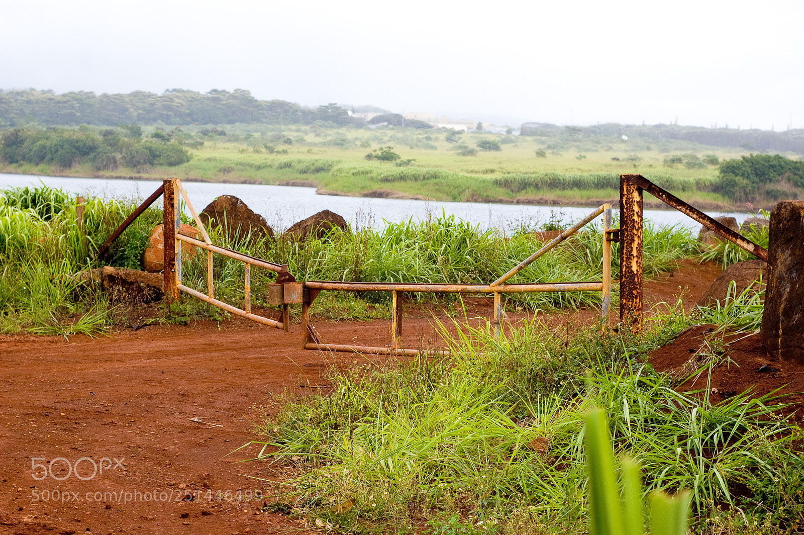 Nikon D40 sample photo. Farm gate photography