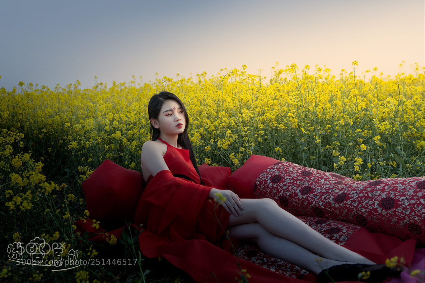 Canon EOS 5D Mark II sample photo. 油菜花开 photography