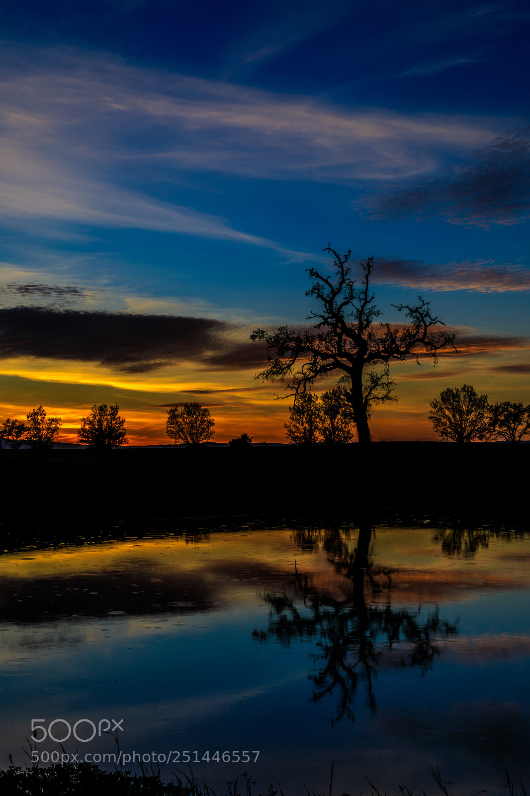 Canon EOS 5D Mark IV sample photo. Sunset photography