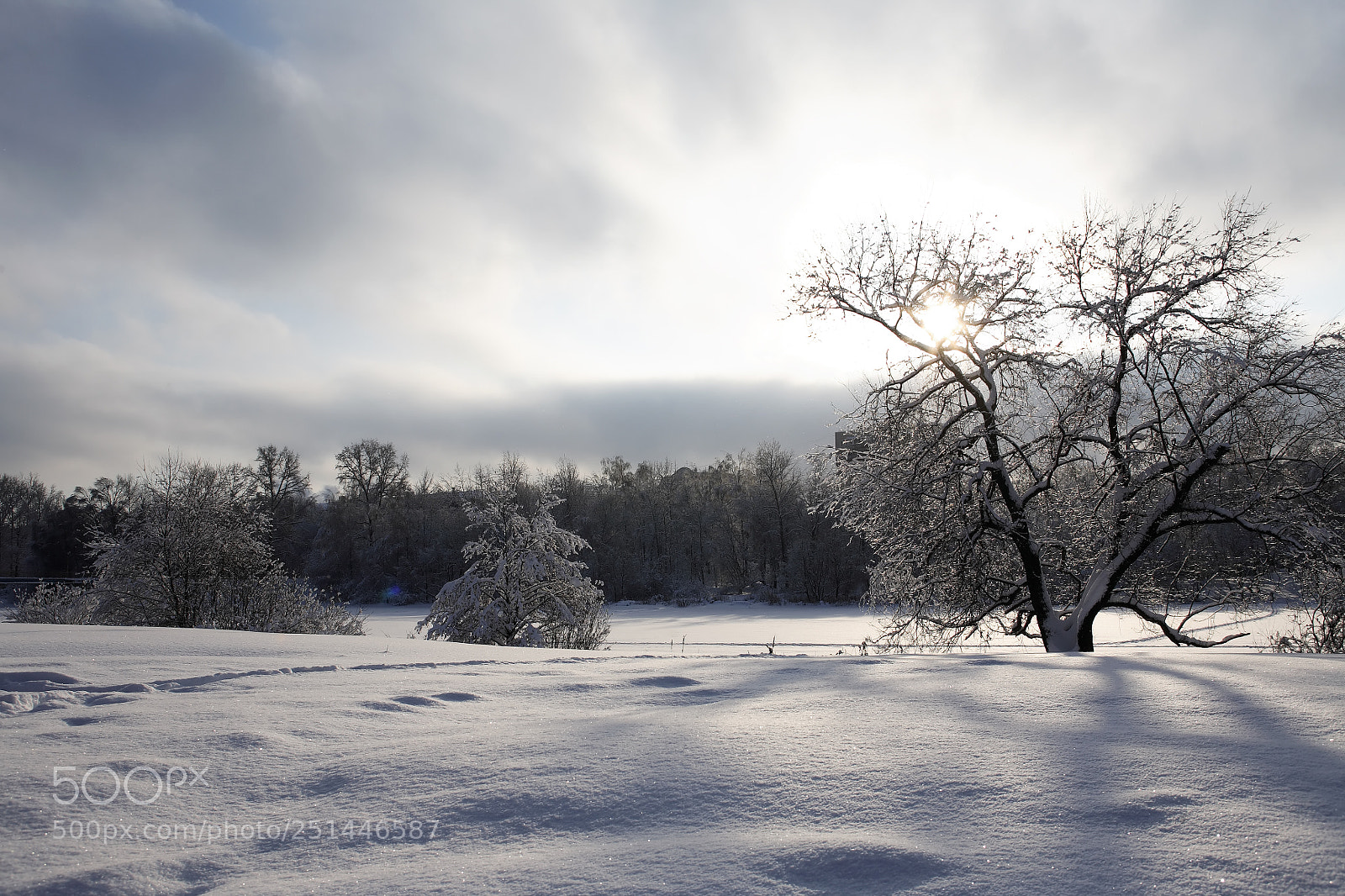 Canon EOS 5D sample photo. Nice winter background photography