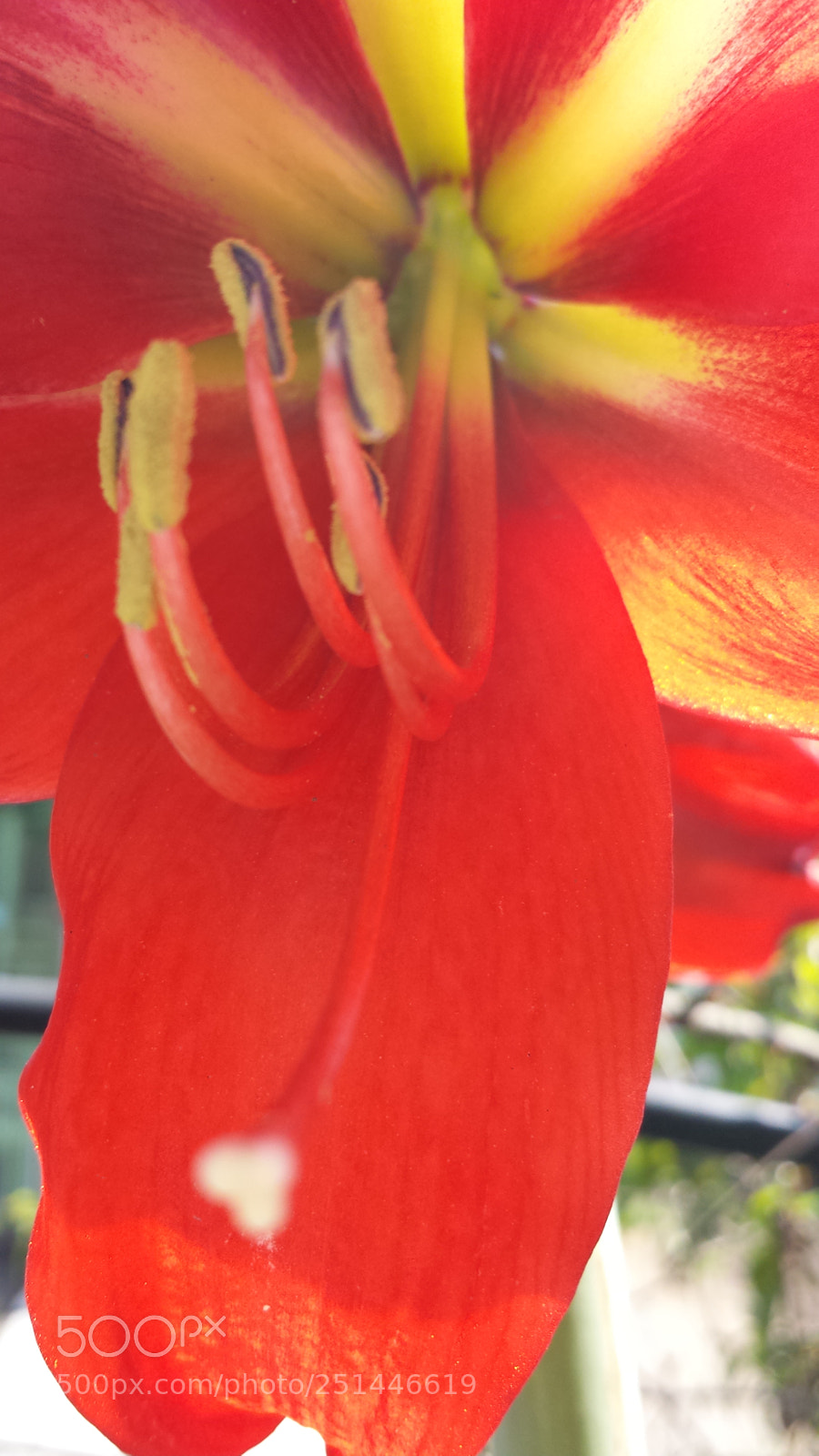 Samsung Galaxy S4 sample photo. Untitled photography