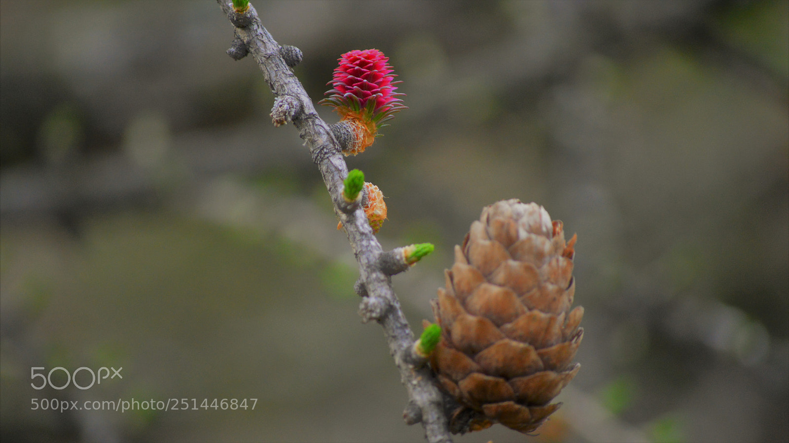 Nikon D3200 sample photo. Untitled photography