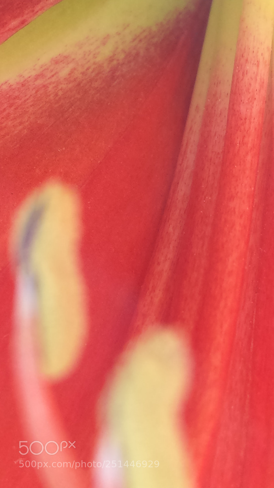 Samsung Galaxy S4 sample photo. Untitled photography