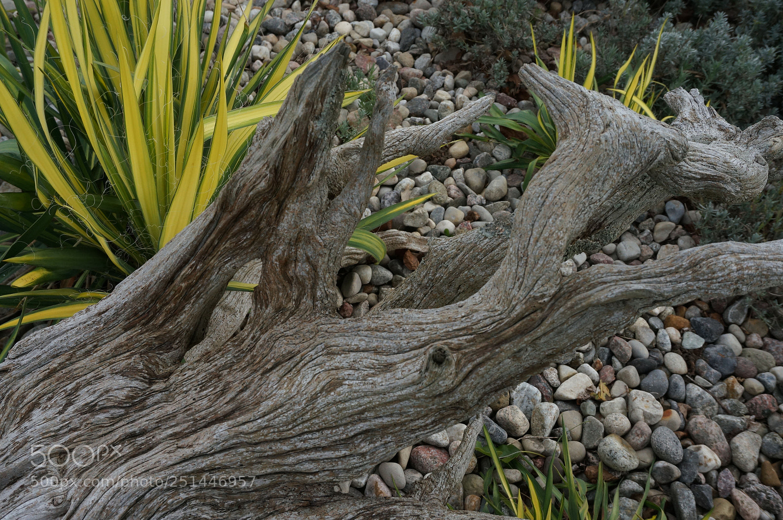 Sony Alpha NEX-6 sample photo. Restful photography