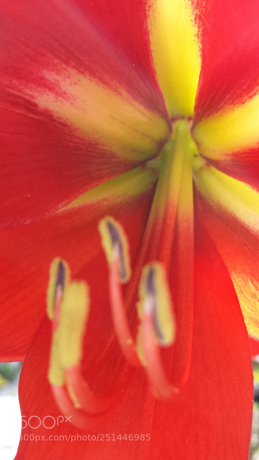 Samsung Galaxy S4 sample photo. Untitled photography