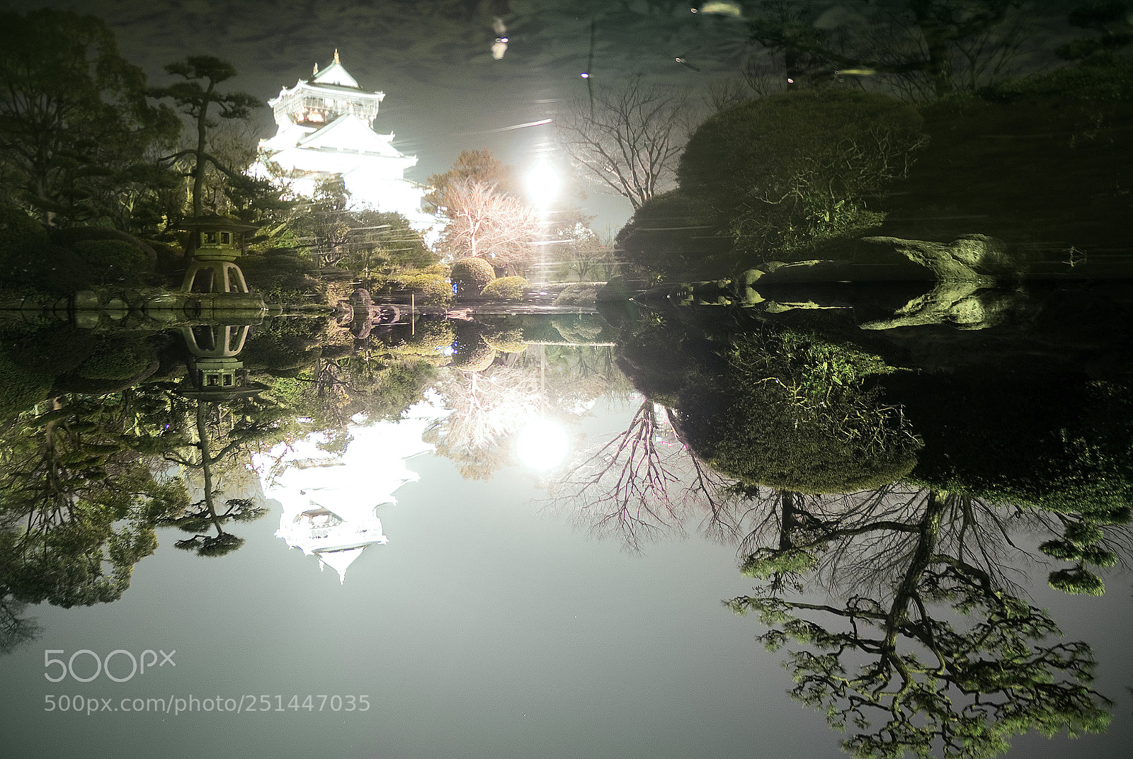 Sony Alpha NEX-5R sample photo. Osaka castle mirrored photography