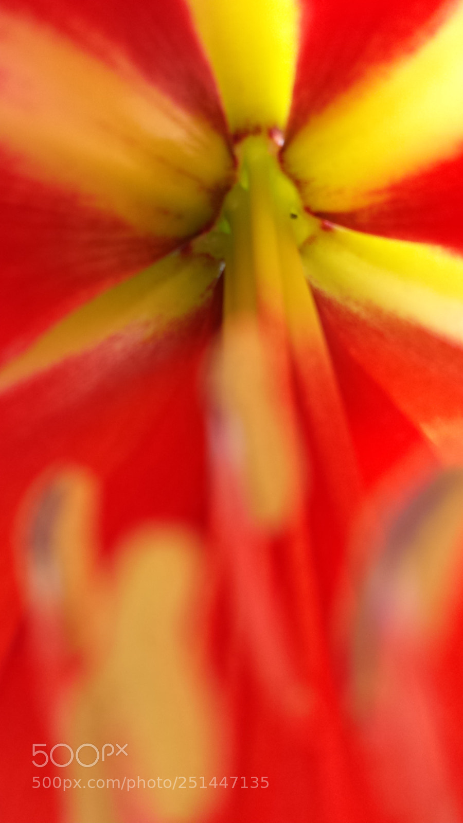 Samsung Galaxy S4 sample photo. Untitled photography