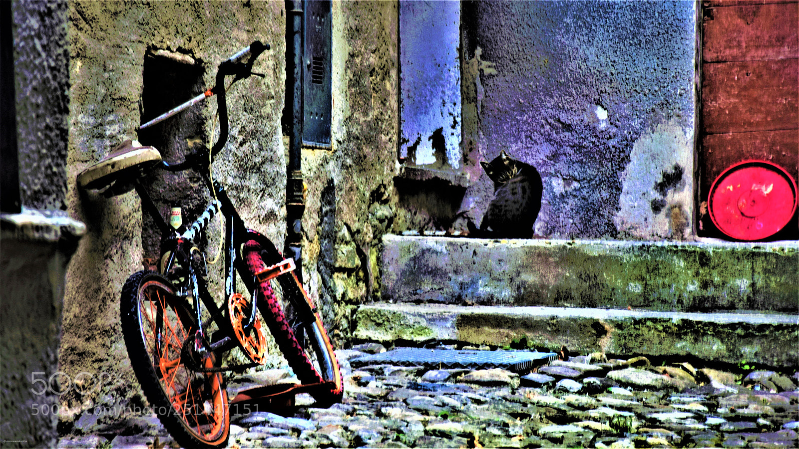 Nikon D3300 sample photo. Colored street with bicycle photography