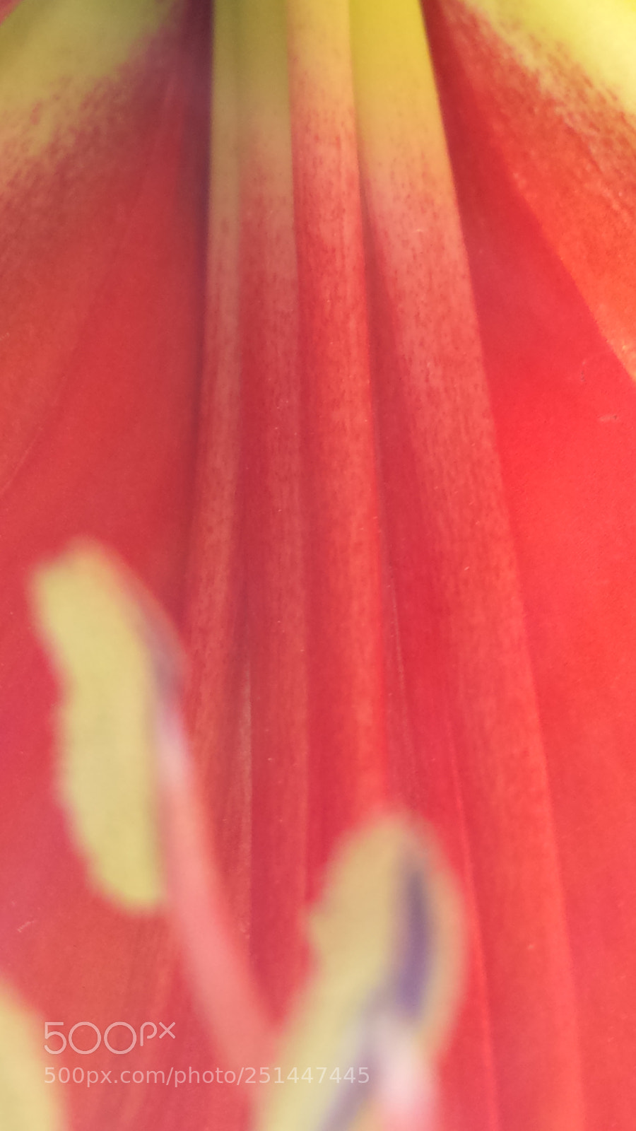 Samsung Galaxy S4 sample photo. Untitled photography