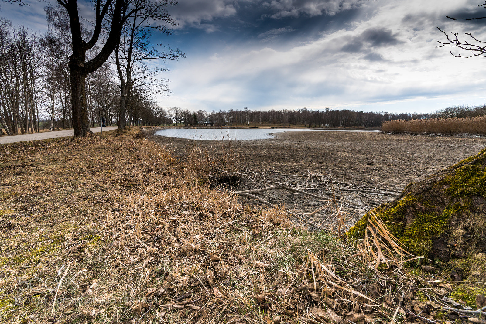 Sony a7R II sample photo. Spring is here photography