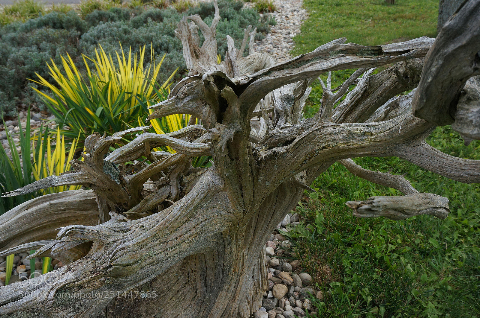 Sony Alpha NEX-6 sample photo. Rhytmical photography