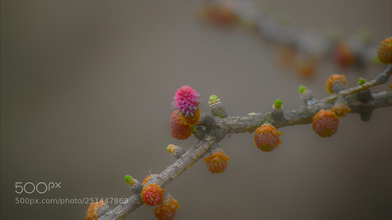 Nikon D3200 sample photo. Untitled photography