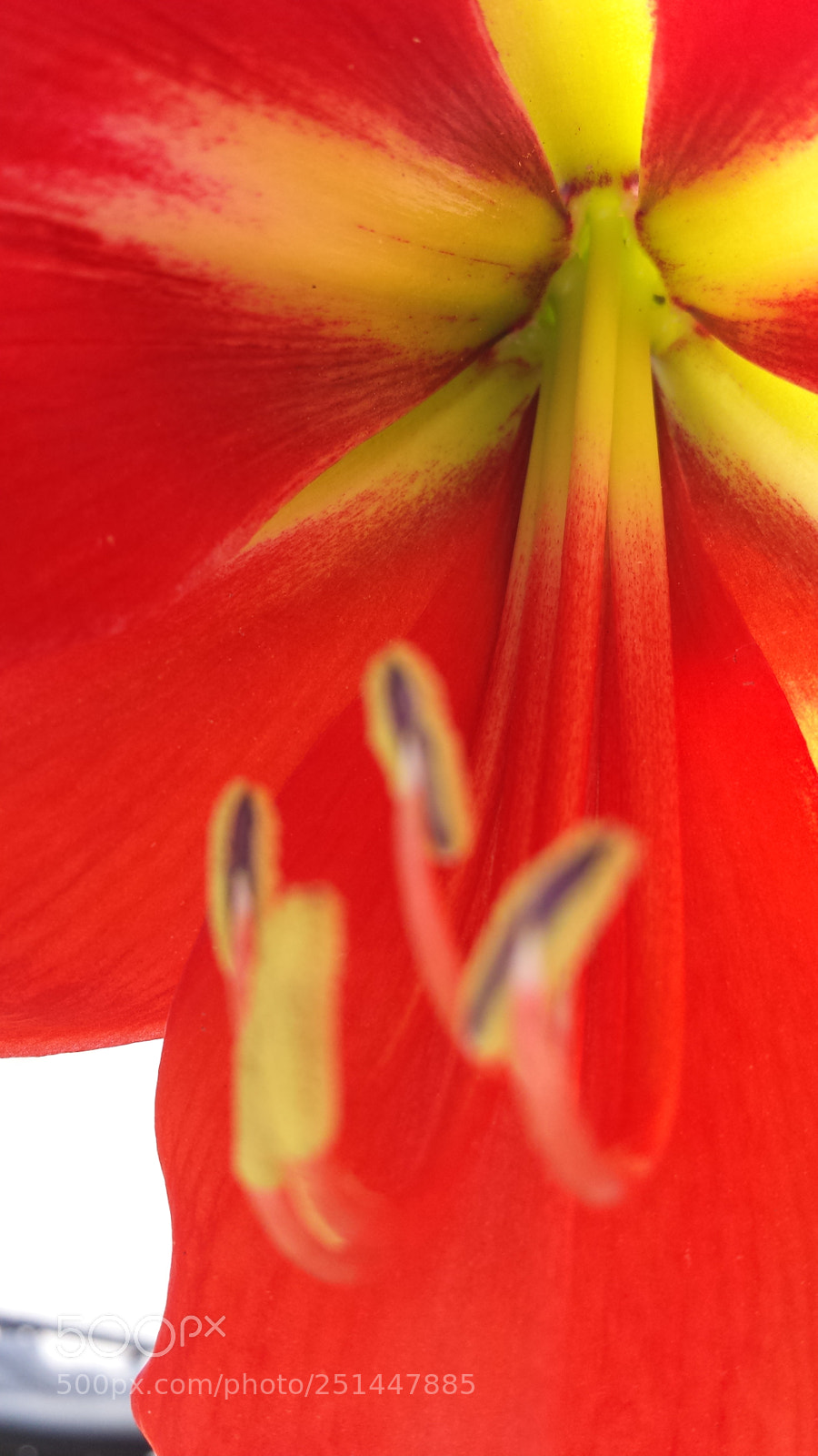 Samsung Galaxy S4 sample photo. Untitled photography