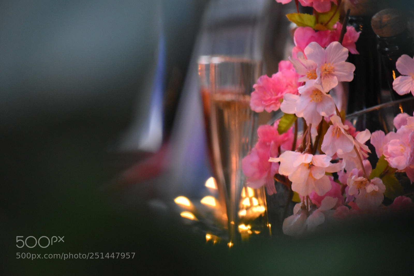 Nikon D5500 sample photo. Untitled photography
