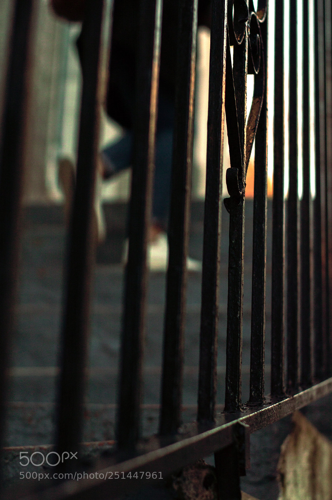 Nikon D3200 sample photo. Step by step photography