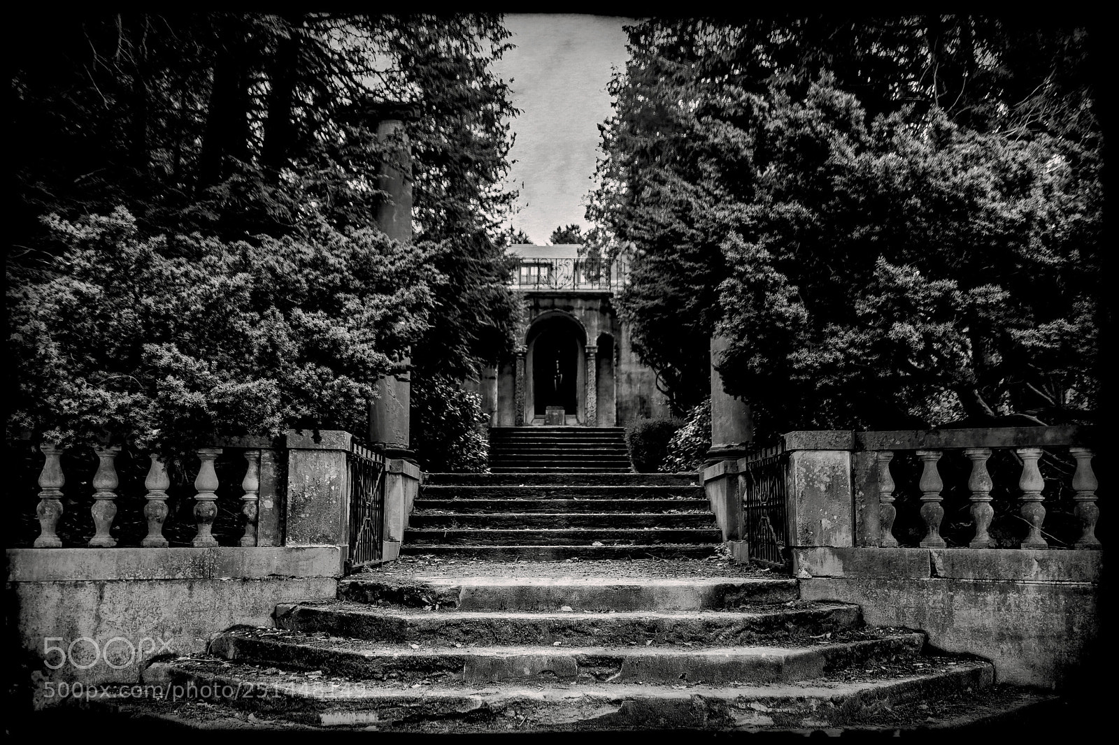 Canon EOS 5D Mark IV sample photo. Athena's stairsteps photography