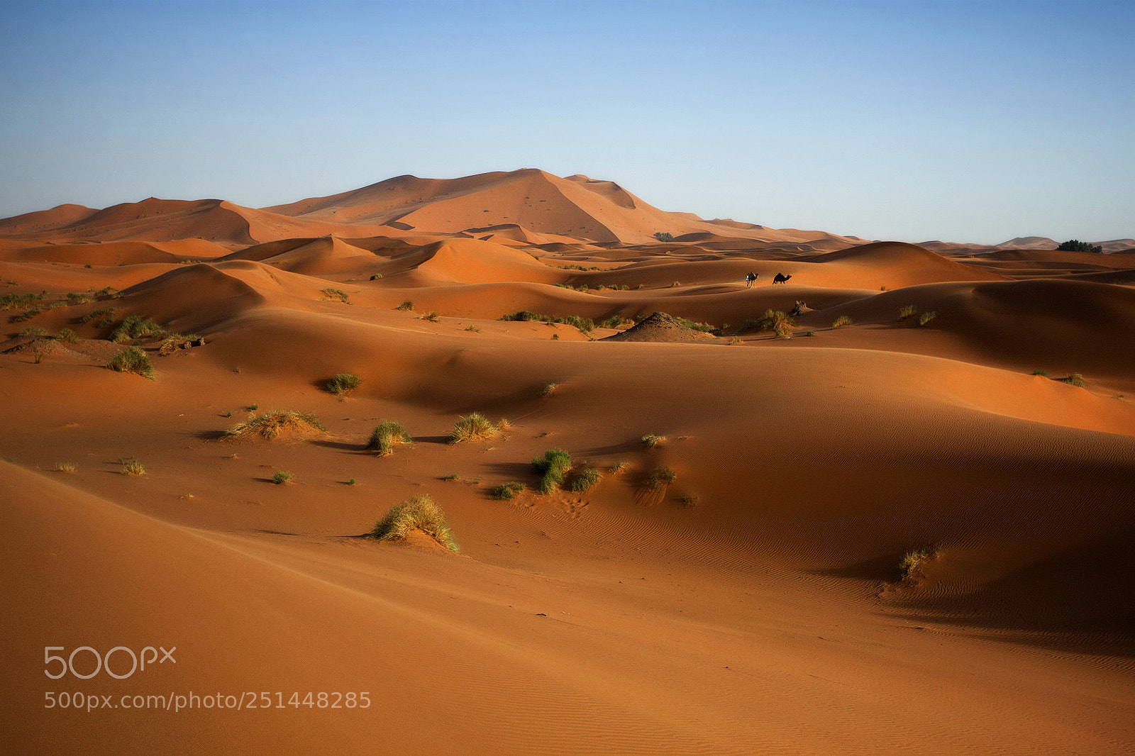 Canon EOS 5D Mark II sample photo. Sandune photography