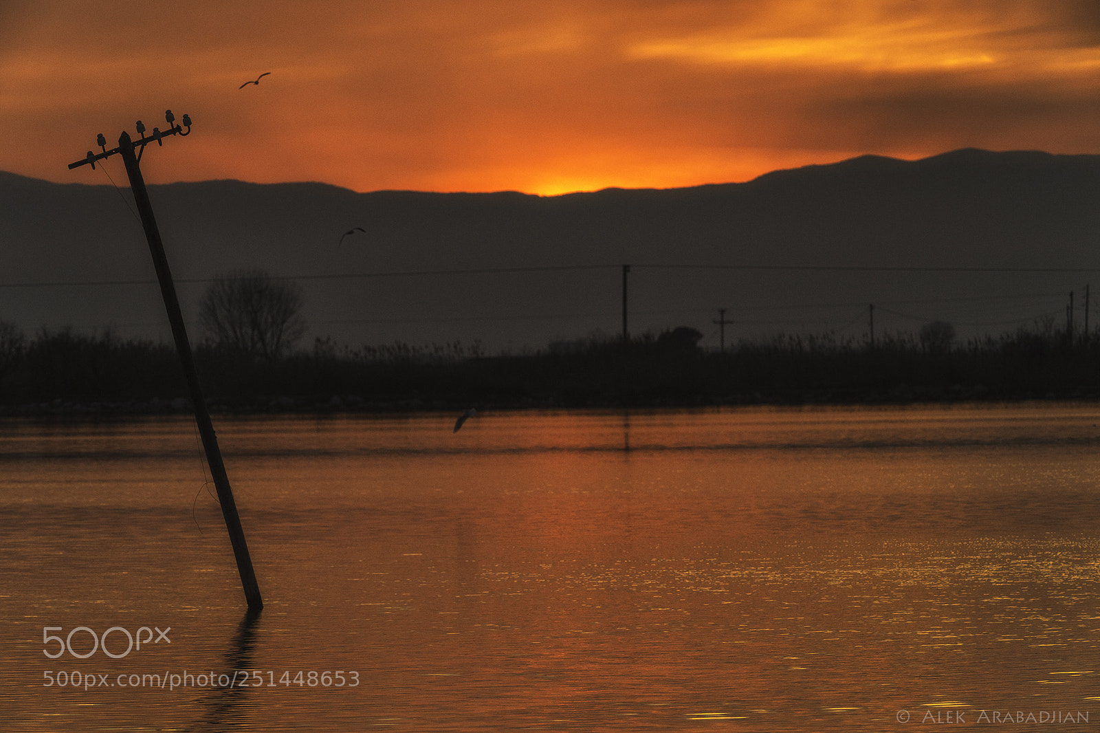 Nikon D5 sample photo. Sunset, water and electricity... photography