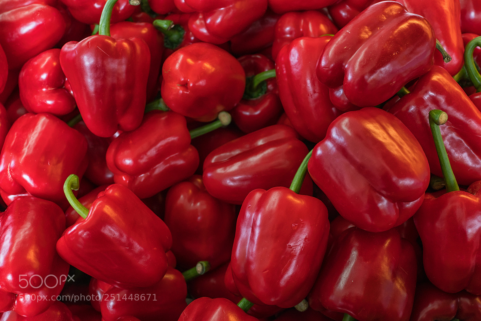 Sony Cyber-shot DSC-RX1R II sample photo. Red photography
