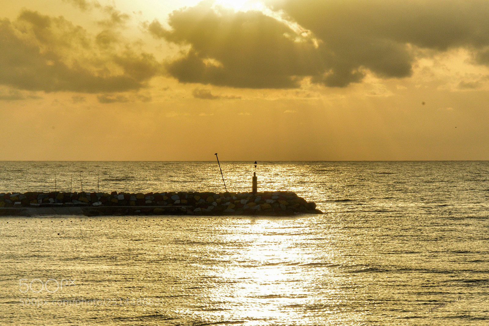Nikon D3200 sample photo. Untitled photography