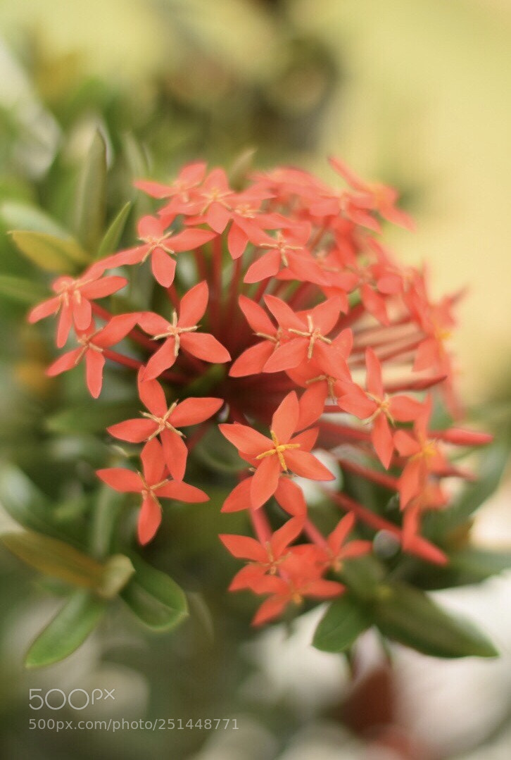Nikon D3300 sample photo. Untitled photography