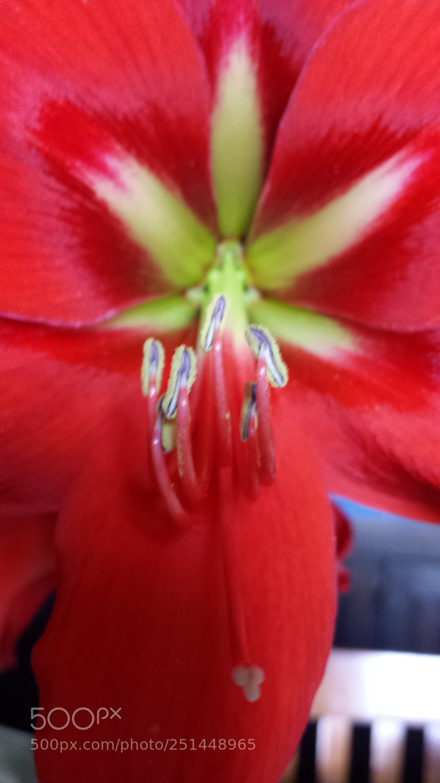 Samsung Galaxy S4 sample photo. Untitled photography