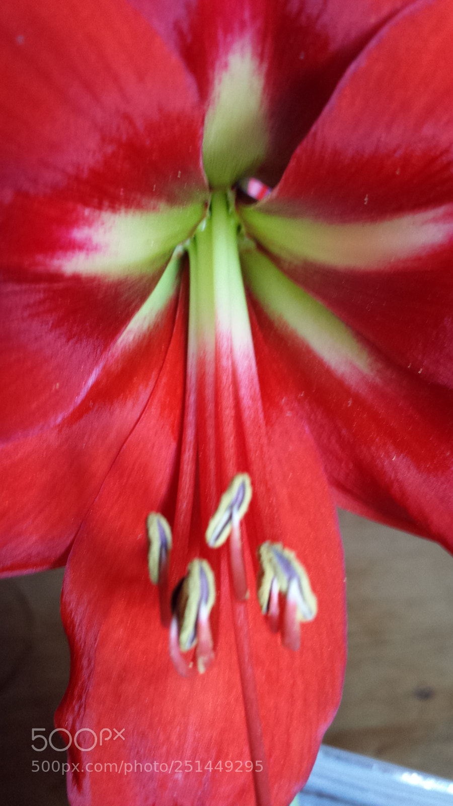 Samsung Galaxy S4 sample photo. Untitled photography
