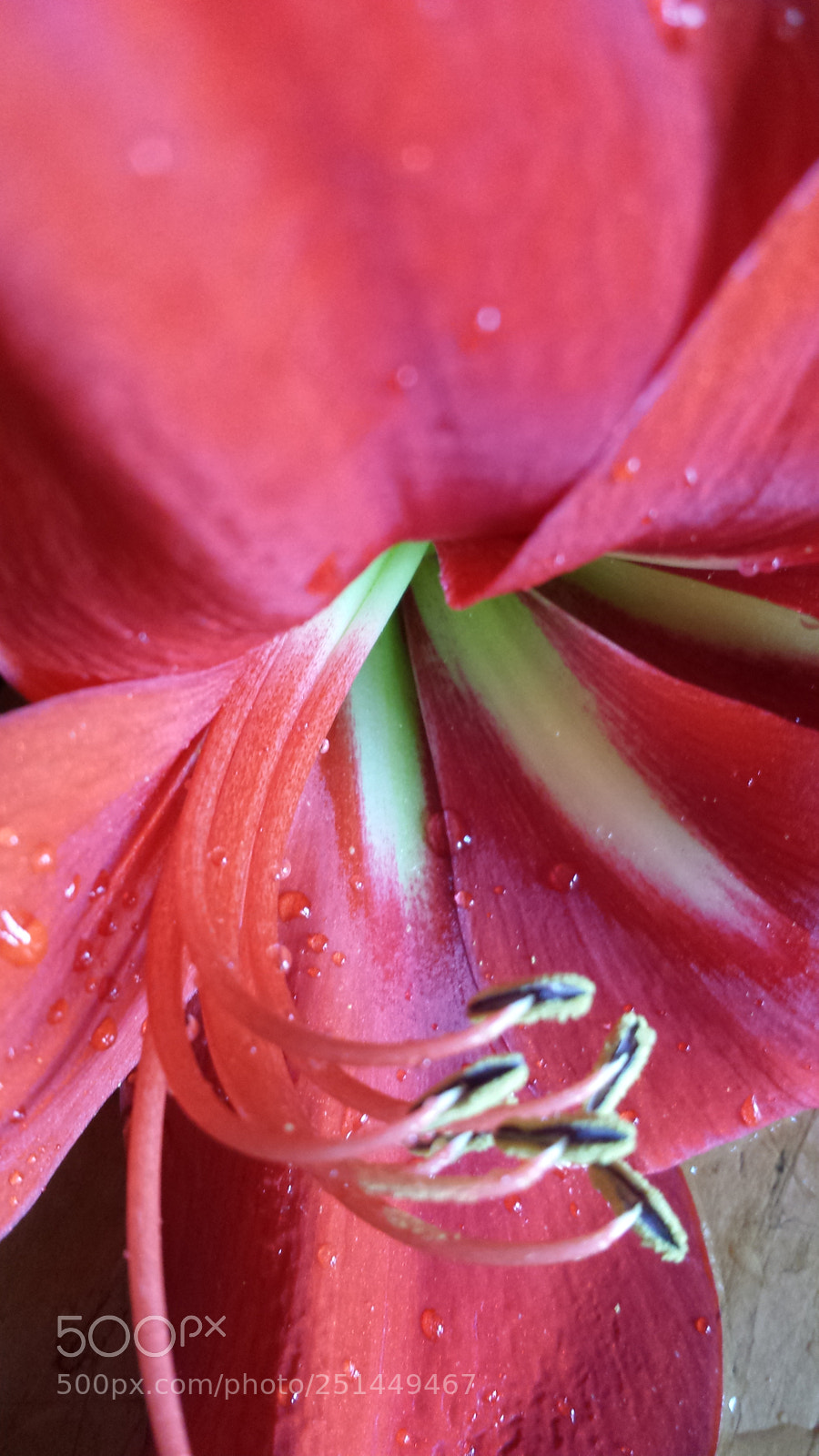 Samsung Galaxy S4 sample photo. Untitled photography