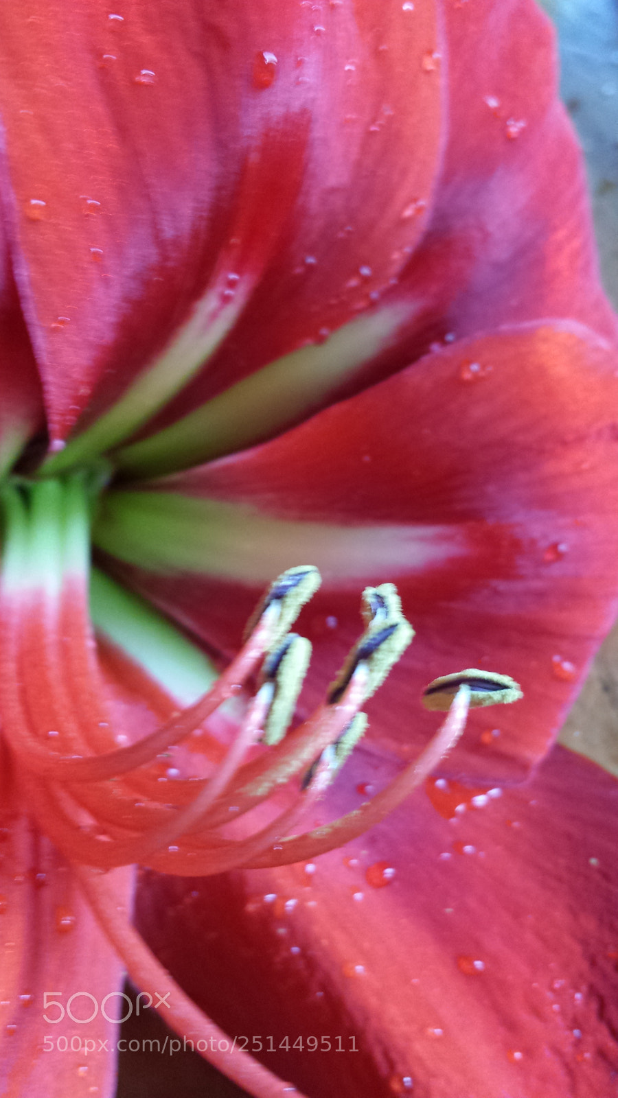 Samsung Galaxy S4 sample photo. Untitled photography