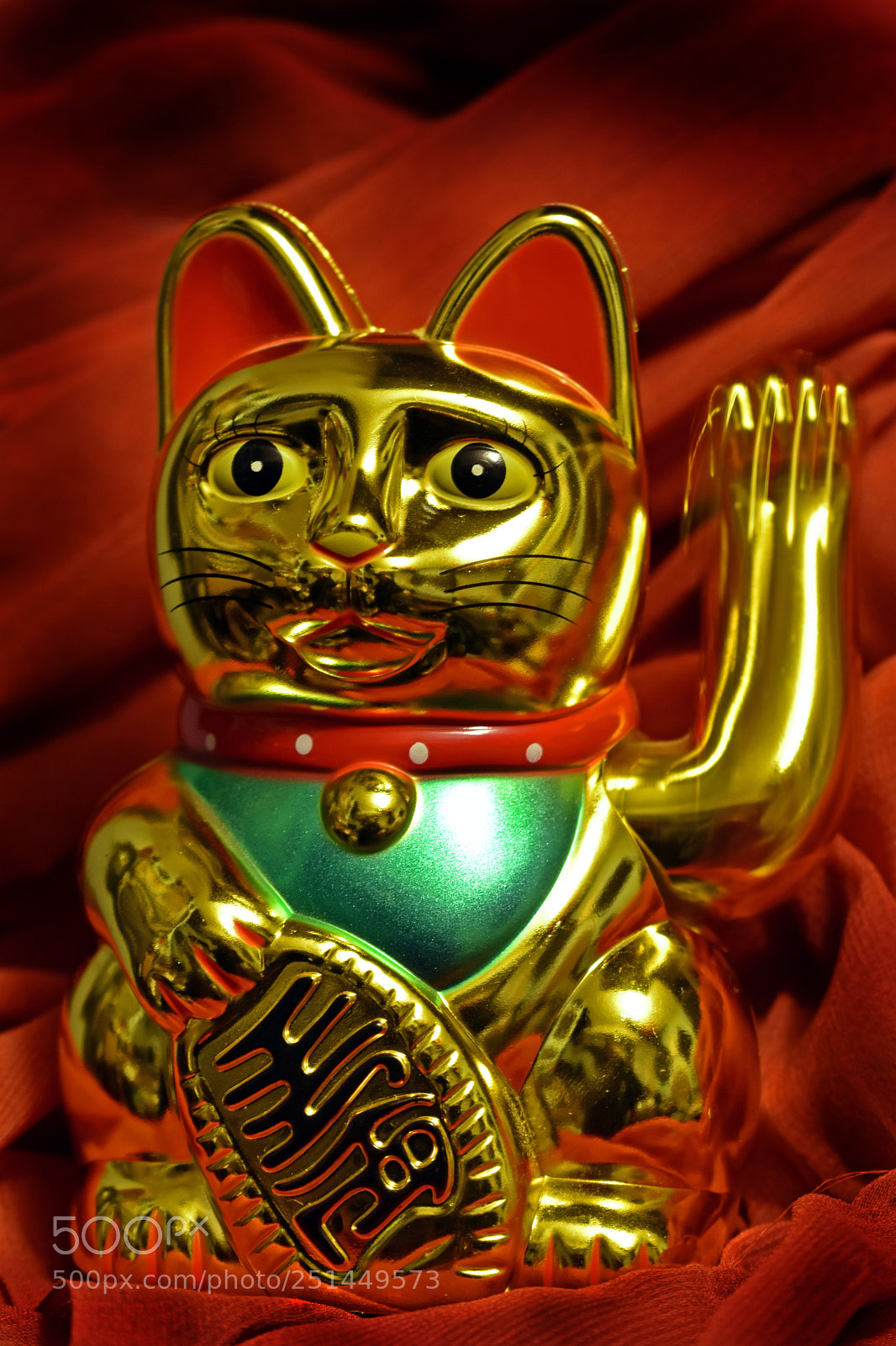 Nikon D5600 sample photo. Lucky cat photography