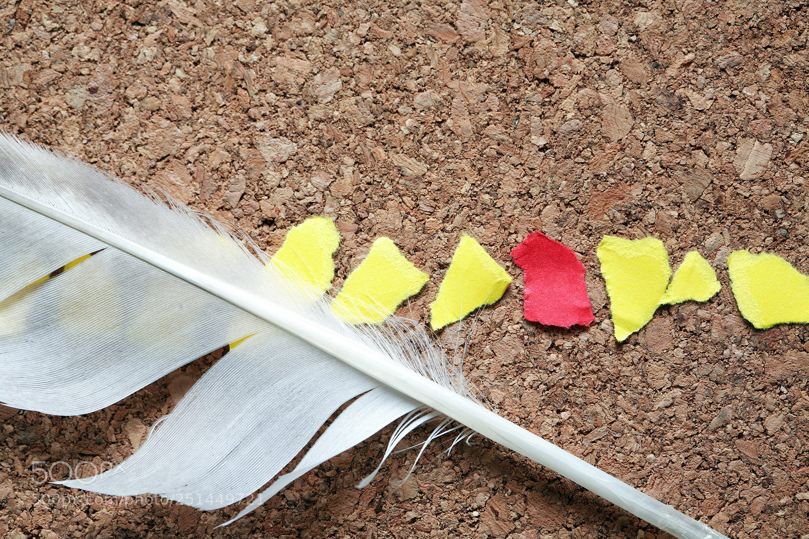 Canon EOS 5D sample photo. Feather and paper scraps photography