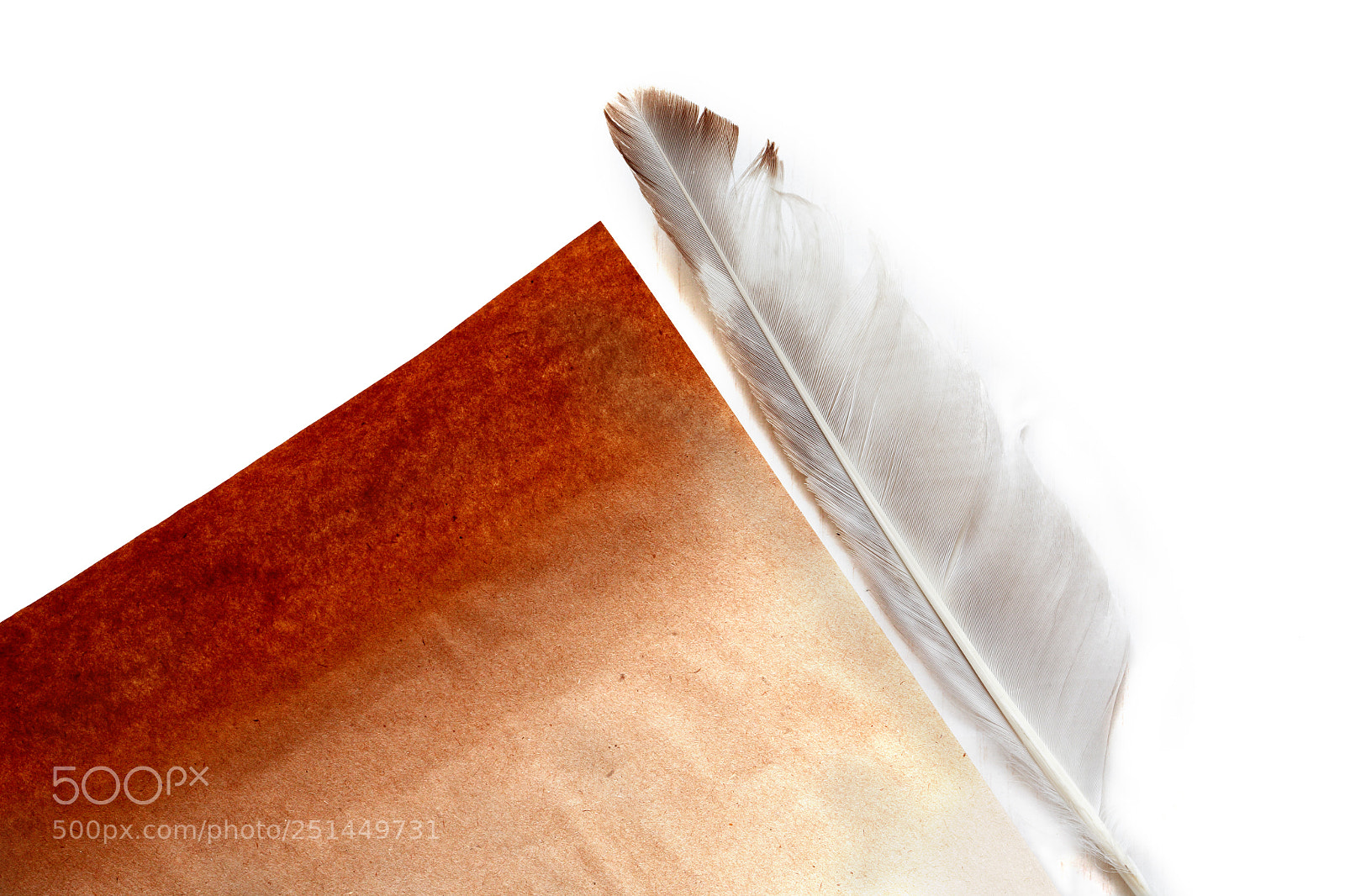 Canon EOS 5D sample photo. Feather near paper photography